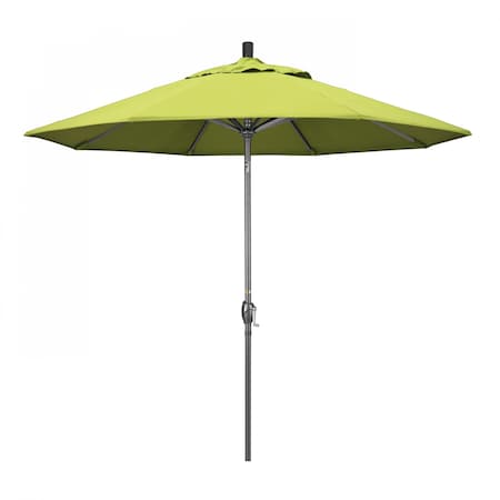 Patio Umbrella, Octagon, 101