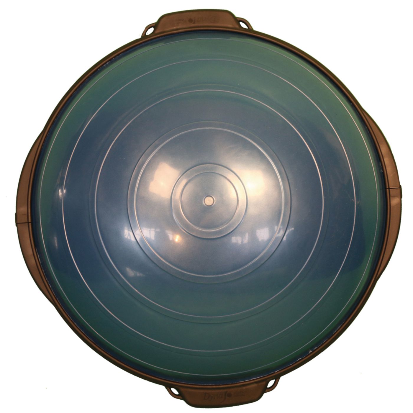 Example of GoVets Vestibular Dome category