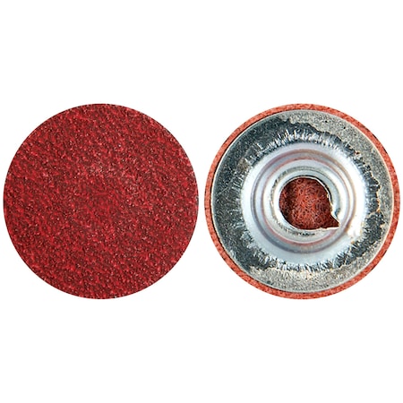 Example of GoVets Carborundum category