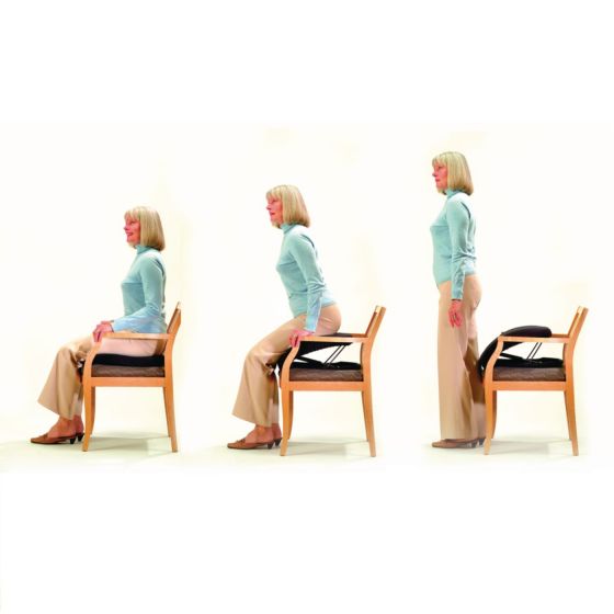 Example of GoVets Chair Lifts category