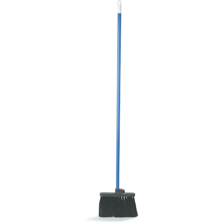 Unflagged Broom, 11
