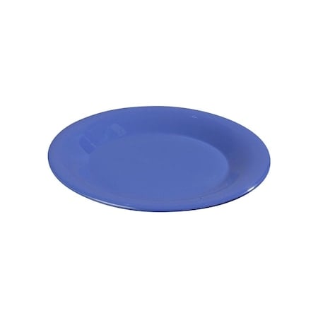 Wide Rim Dinner Plate, 9