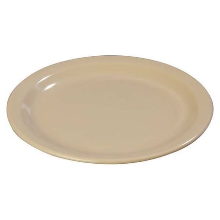 Dinner Plate, 10-1/4