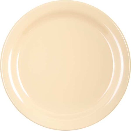 Dinner Plate, 8.92