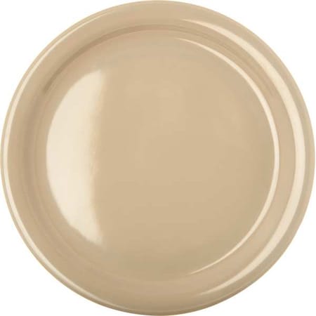 Dinner Plate, 8.92