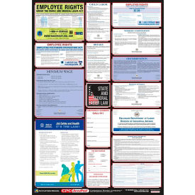Labor Law Poster - Georgia PPG300GA