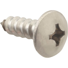 Allpoints 6121212 Screw Sm/Th/Ss (100) 6121212