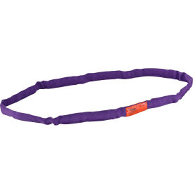 GoVets™ Polyester Round Sling Endless 3 Ft 2600/2100/5200 Lbs Cap 514298