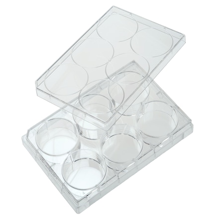 Tissue Culture Plate, Sterile, 6-Well, PK50 MPN:229105