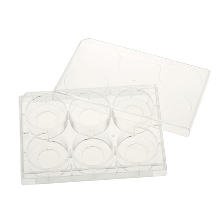 Glass Bottom Tissue Culture Plate, 20mm Glass, Sterile, 6-Well, PK5 MPN:229107