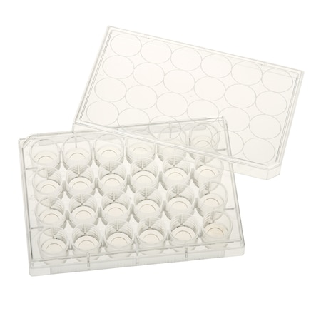 Glass Bottom Tissue Culture Plate, 10mm Glass, Sterile, 24-Well, PK5 MPN:229125