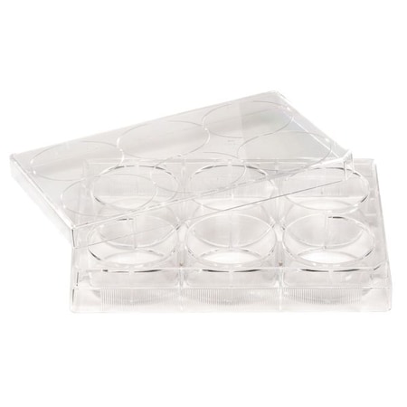 Non-Treated Plate, 6 Well, PK100 MPN:229506