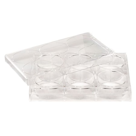 Non-Treated Plate, 12 Well, PK100 MPN:229512