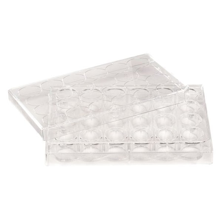 Non-Treated Plate, 48 Well, PK100 MPN:229548
