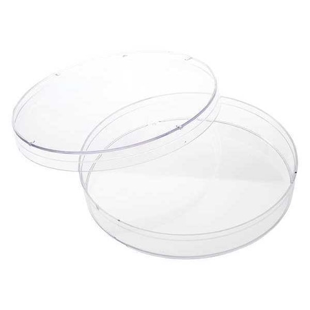 Petri Dish, Polystyrene, 1 Well, PK500 MPN:229695