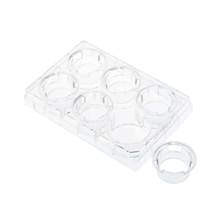Permeable Cell Culture Inserts, 6-Well, Hanging, PC, 8.0 um, Sterile, PK12 MPN:230605