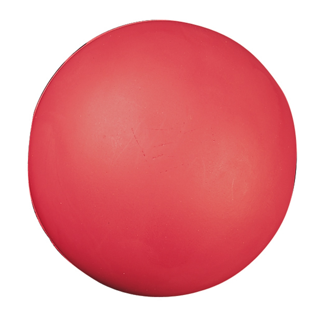 Champion Sports High Density Coated 8-1/2in Foam Ball MPN:CHSHD85