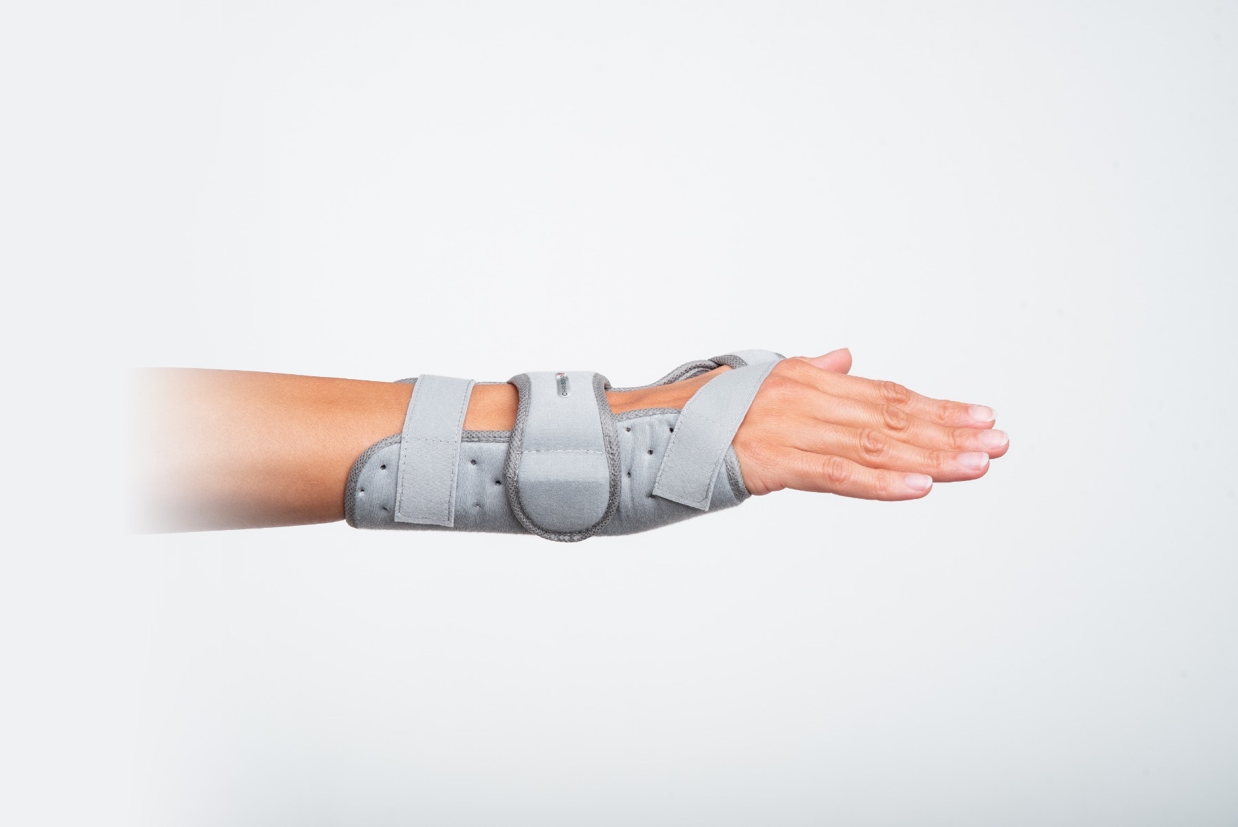 Example of GoVets Wrist Immobilization category
