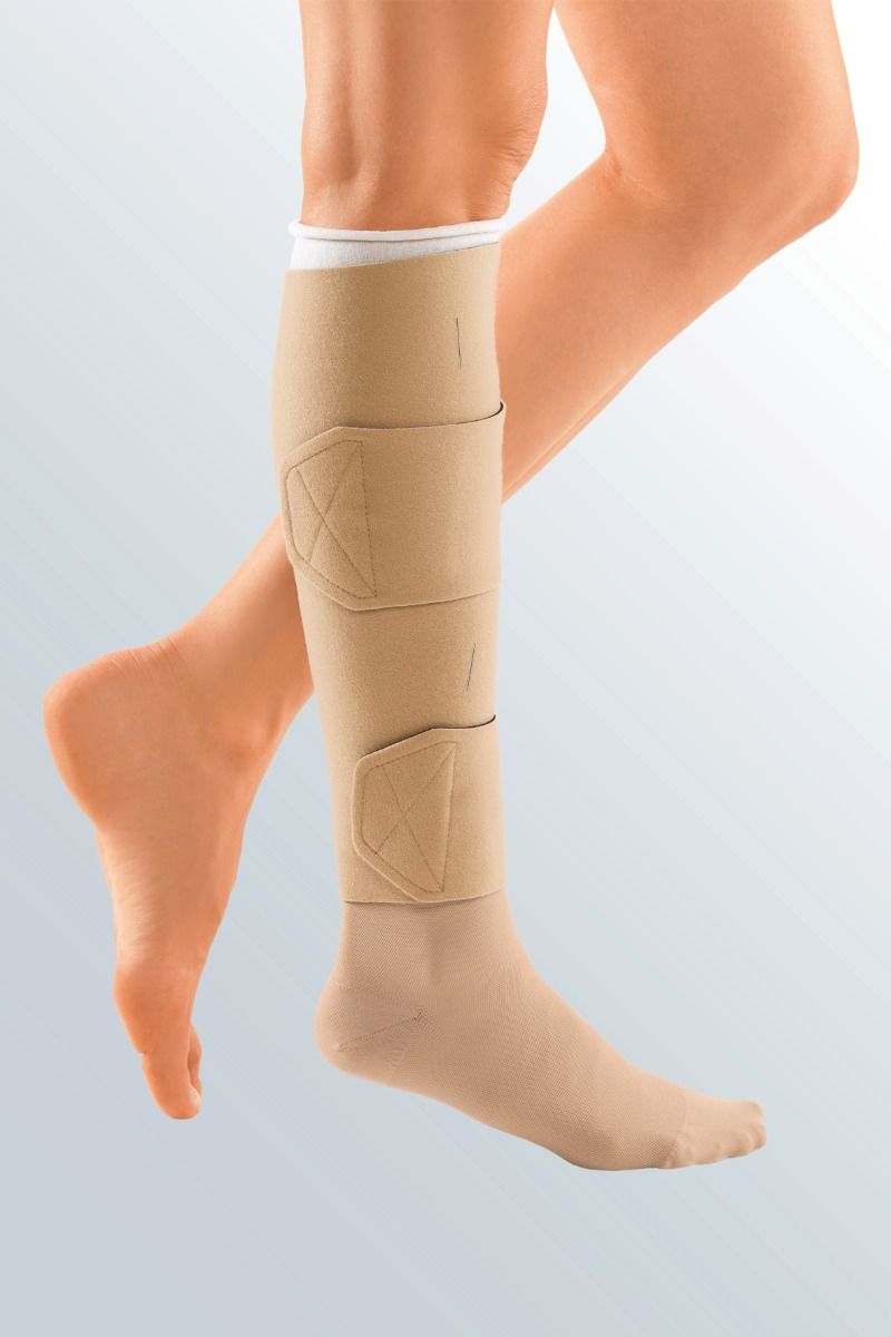 Example of GoVets Circaid category