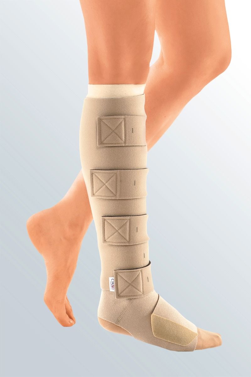 Example of GoVets Circaid category