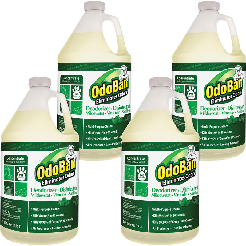 OdoBan Eucalyptus Multi-purpose Deodorizer Disinfectant Concentrate - Concentrate Liquid - 128 fl oz (4 quart) - Eucalyptus Scent - 4 / Carton - Green MPN:ODO911062G4CT