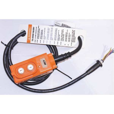 Pendant & 6ft Cord MPN:20607