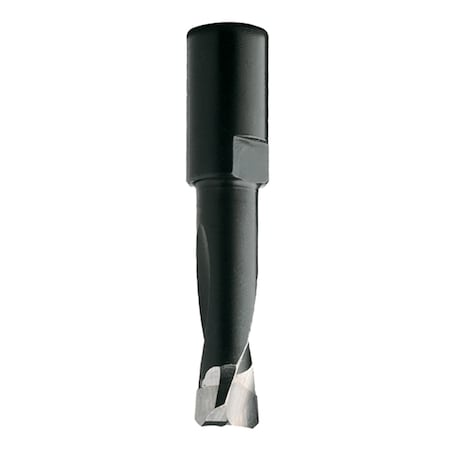 Router Bit For Domino Xl Joining, 12, Rght MPN:380.121.11