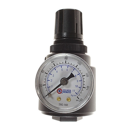 Regulator W/Gauge Panel Mount 3/8