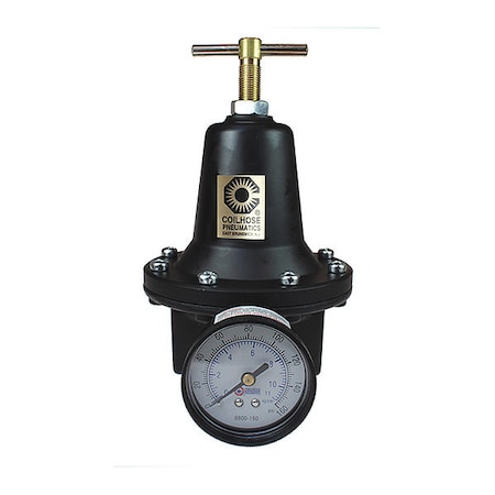 Regulator W/Gauge 0-60PSI 1