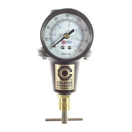 Regulator Tamperproof 0-50PSI 1