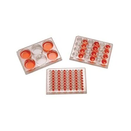 Sterile Tissue Culture 12- Well P, PK 100 MPN:01927-72