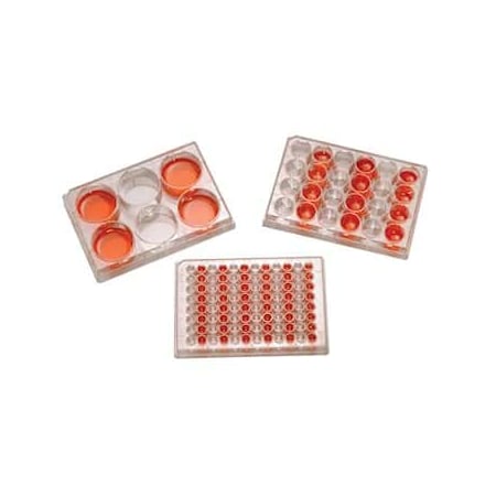 Sterile Tissue Culture 96-Well Pl, PK 100 MPN:01927-78