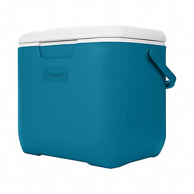 Example of GoVets Coleman brand