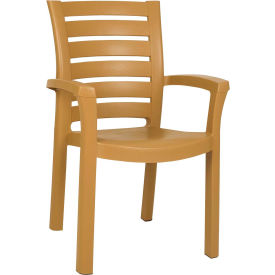 Siesta Marina Resin Dining Arm Chair Teak Brown ISP016-TEA - Pkg Qty 4