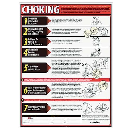 Poster, Choking, 18 in H x, 24 in W, Laminated Paper MPN:WR0236