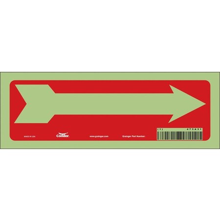 Exit Sign, Vinyl, 10