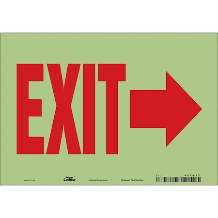 Exit Sign, Vinyl, 10