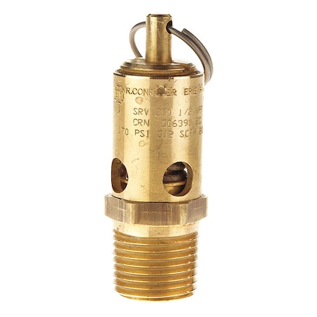 Safety Valve, SS Ball MPN:SRV390-1/2-SS-CE-100