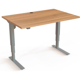 ConSet Electric Height Adjustable Desk 47-1/4