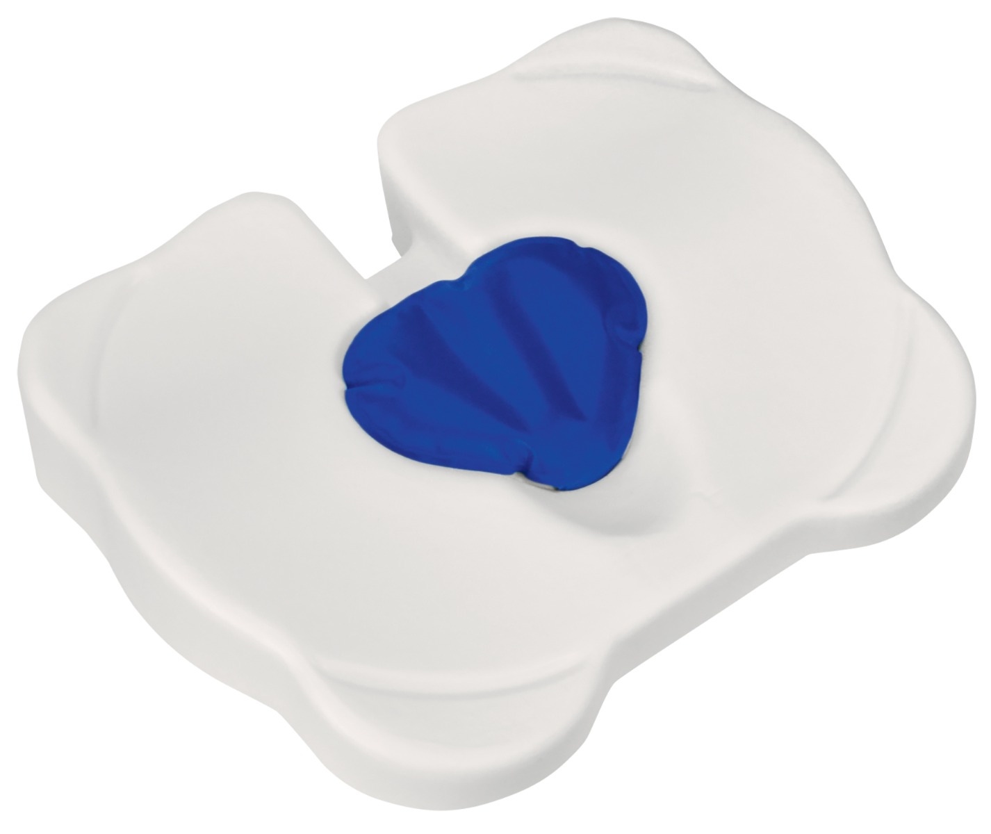 Example of GoVets Contour Design category