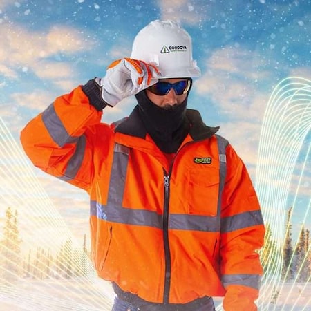 Hard Hat Liner MPN:HL100