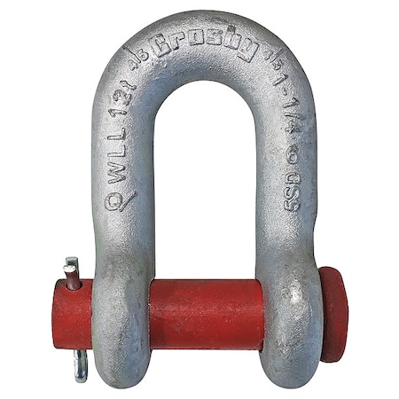 Shackle, 1-1/4