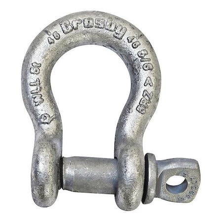 Anchor Shackle, Screw Pin, 1-1/4