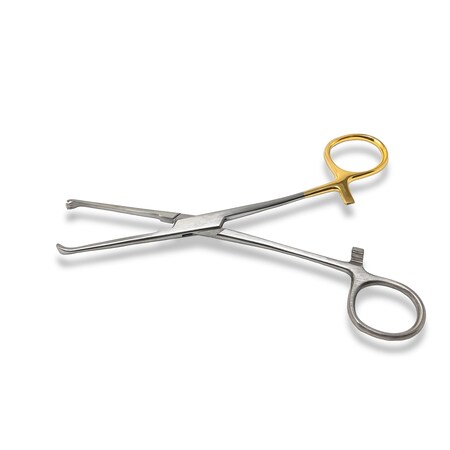 Allis Tissue Forcep, 6