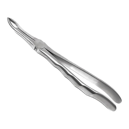 Dental Extracting Forcep, No 845, Anatomical MPN:CYZR-0864