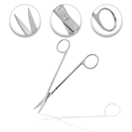 O.R. Grade Kelly Scissors, 6.5