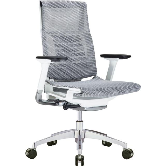 Raynor Powerfit Ergonomic Mesh Mid-Back Executive Chair, Gray/White PFT2-WHT-MGRY