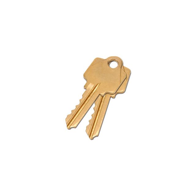 GoVets™ 2 Keys For Mortise Lock (Keyed Alike) 131603