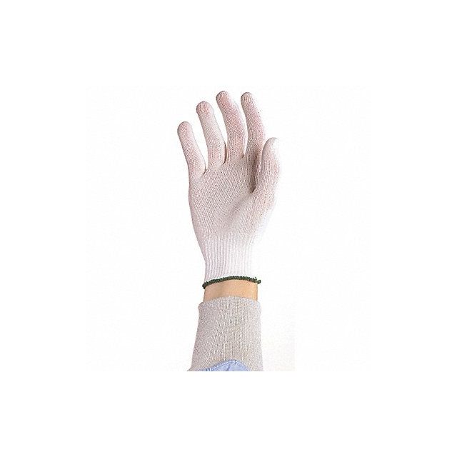 Cleanroom Gloves Polyester Size L PK10 MPN:BGL3.20L