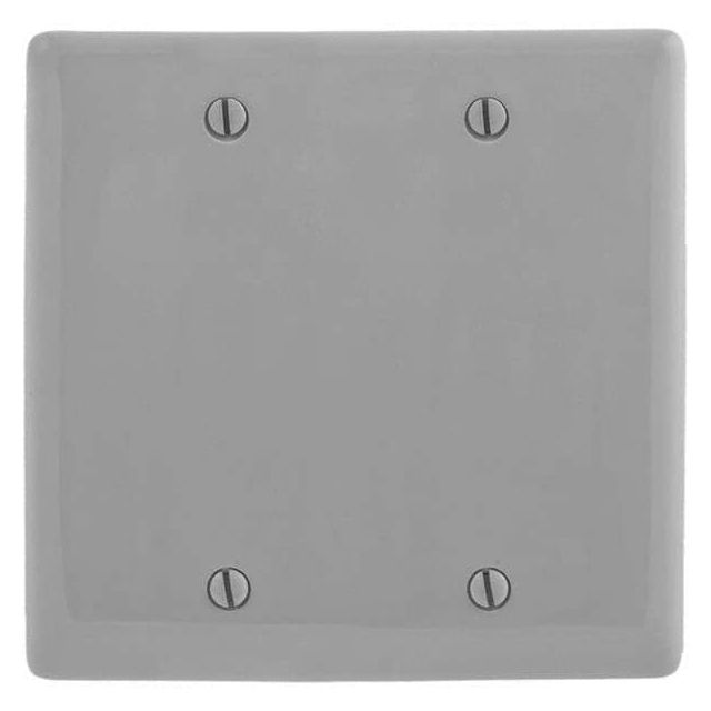 Wall Plates, Wall Plate Type: Blank Wall Plates , Wall Plate Configuration: Blank , Shape: Rectangle , Wall Plate Size: Standard , Number of Gangs: 2, 2  MPN:P23GY